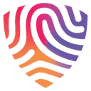 BigID logo