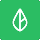 Branch App logo