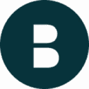 Bridgit Bravo logo