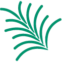 Evergreen ILS logo