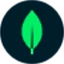 MongoDB logo