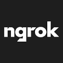 ngrok logo