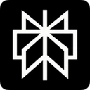 Perplexity logo