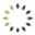 Taranis logo