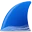 Wireshark logo